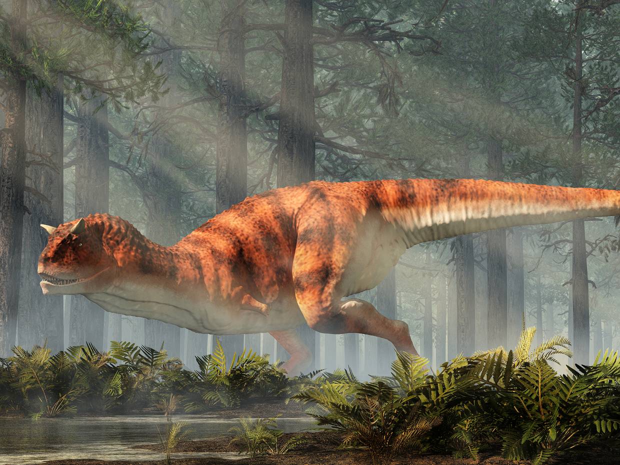 Carnotaurus-dinosaurus